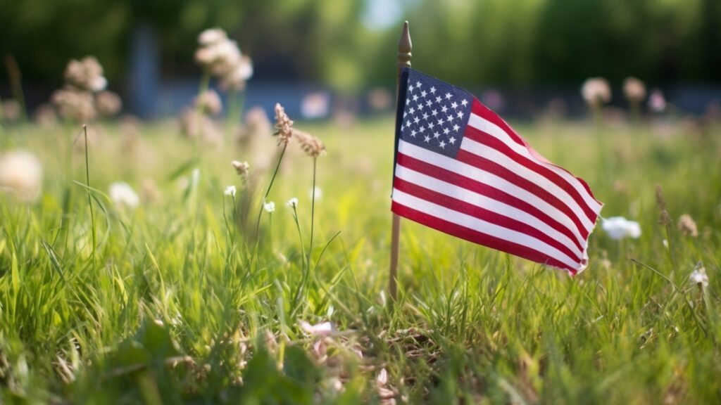 The American Flag in a Garden